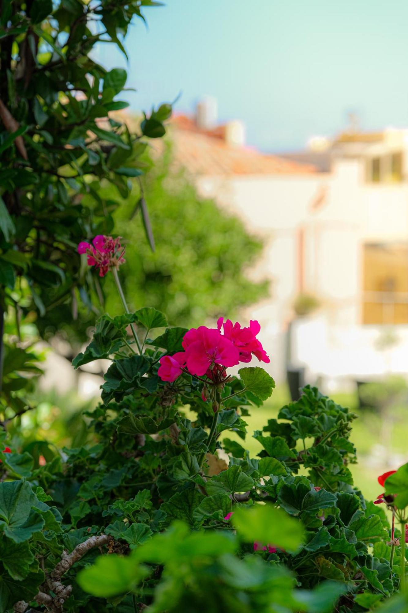 ミラッツォ L'Antico Borgo Bed & Breakfast エクステリア 写真